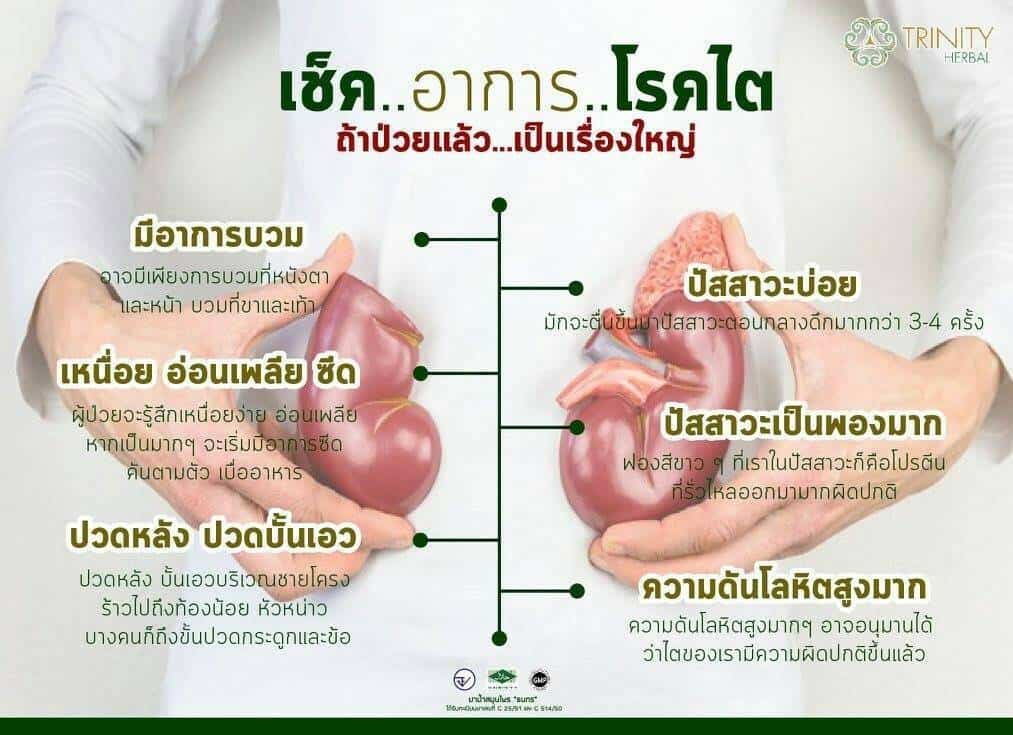 ปัสสาวะบ่อย,ปัสสาวะเป็นฟอง,ปวดหลัง,โรคไตอาการ,โรคไตเกิดจาก,โรคไตอาการสาเหตุการป้องกัน,โรคไตคือ,โรคไตการรักษา,โรคไตการป้องกัน