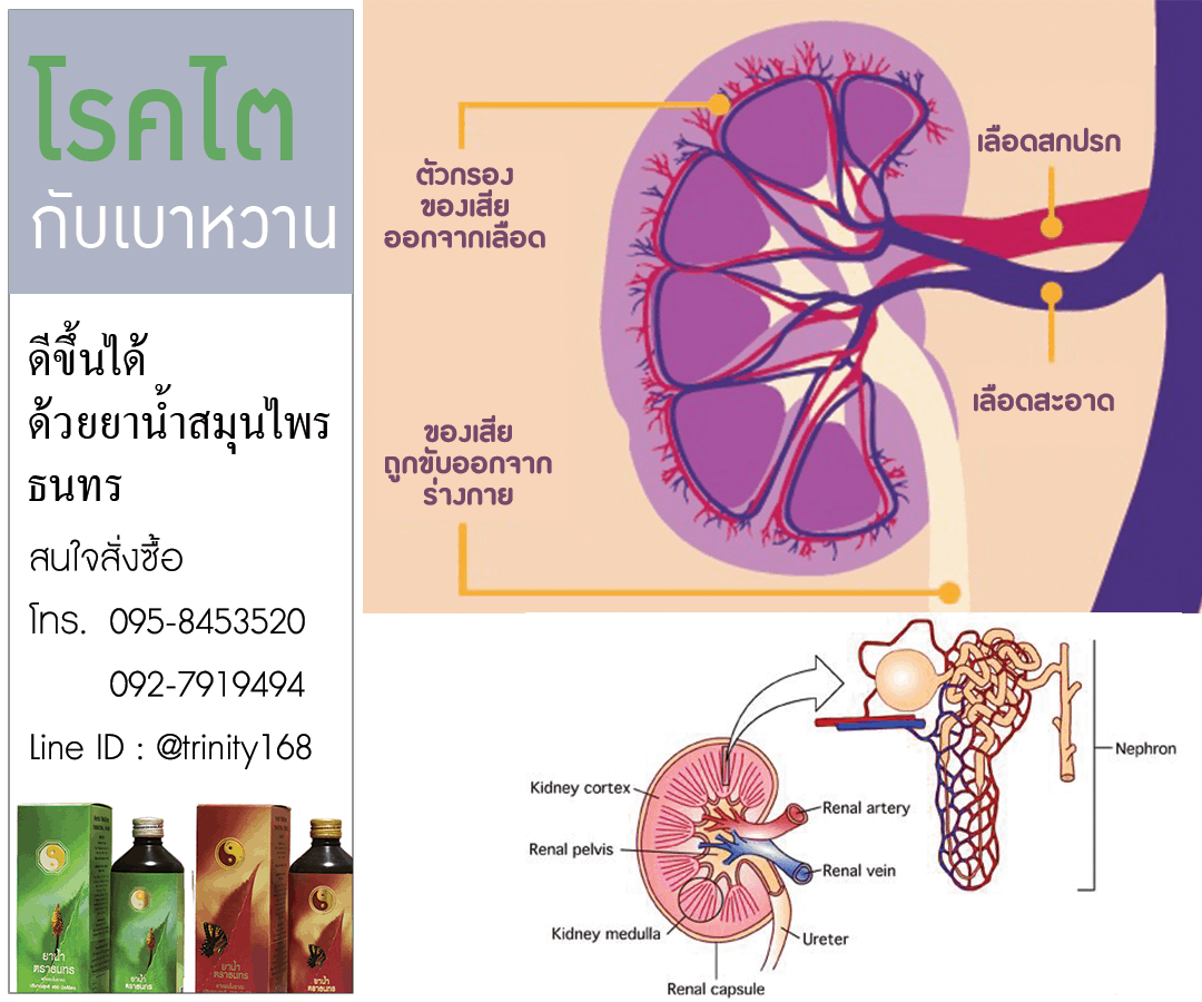 เบาหวาน, โรคไต
