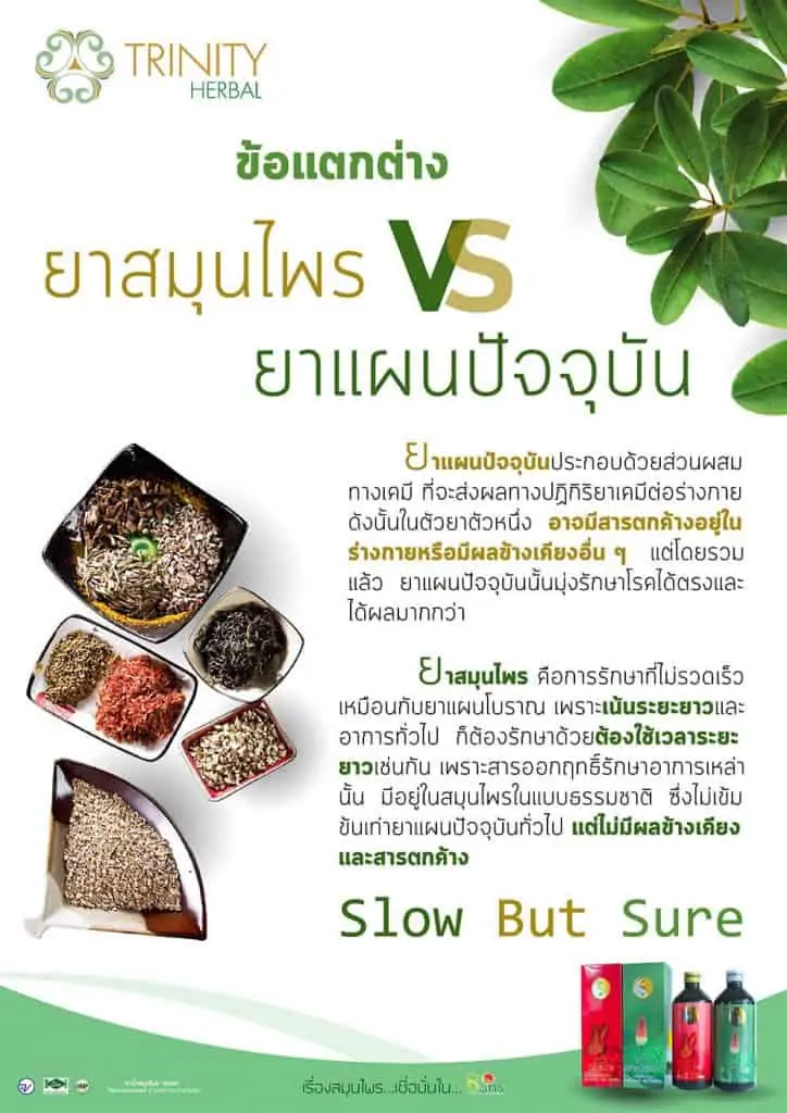 สมุนไพรธนทรสรรพคุณ,สมุนไพรธนทร,สมุนไพรธนทรหลอกลวง,สมุนไพรธนทรสรรพคุณpantip