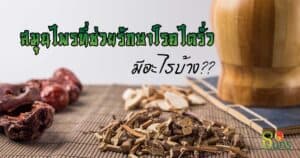 สมุนไพรรักษาโรคไตรั่ว,สมุนไพรรักษาไตรั่ว,ไตรั่ว